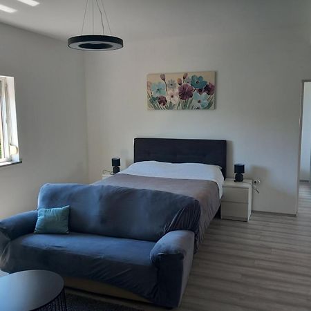 Apartman Ani Rijeka Dış mekan fotoğraf