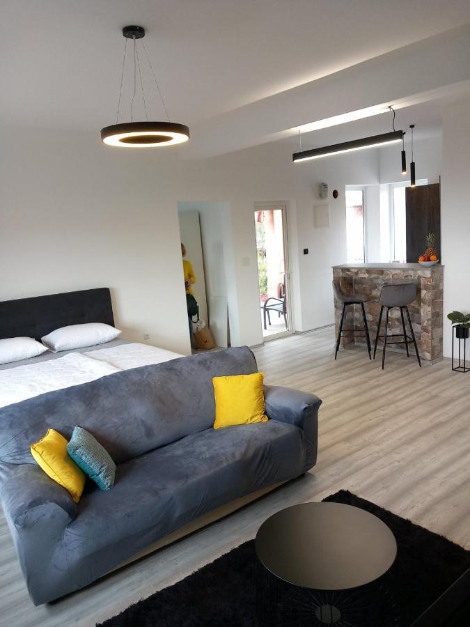 Apartman Ani Rijeka Dış mekan fotoğraf